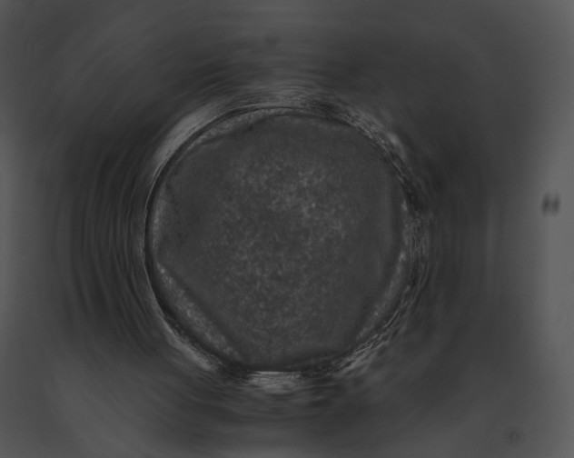 X0000091200051200708301608