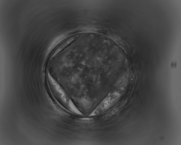 X0000091200053200708301608