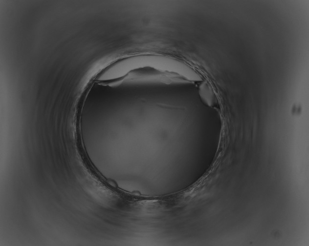 X0000091200054200708301608