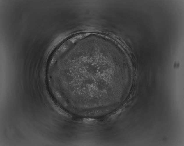 X0000091200055200708301608
