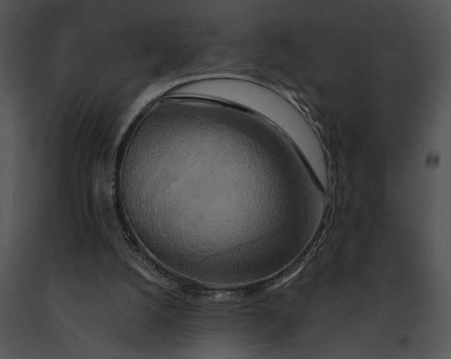 X0000091200056200708301609