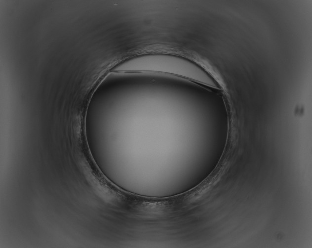 X0000091200057200708301609