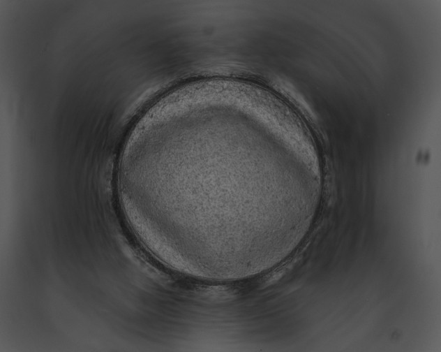 X0000091200058200708301609