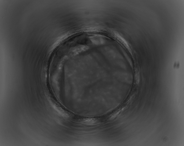 X0000091200059200708301609