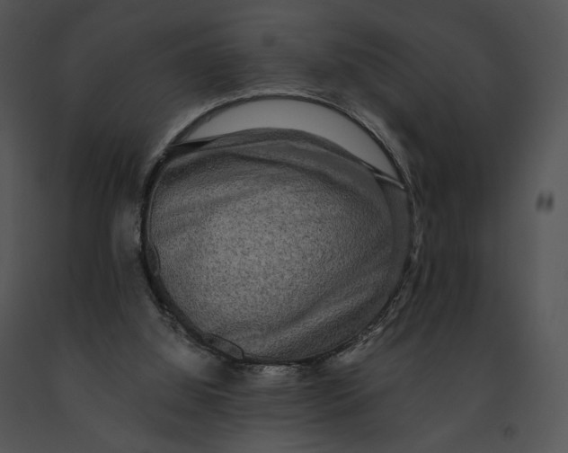 X0000091200060200708301609