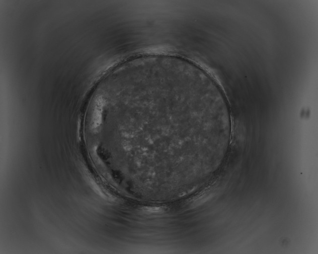 X0000091200061200708301609