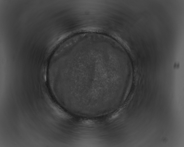 X0000091200062200708301609