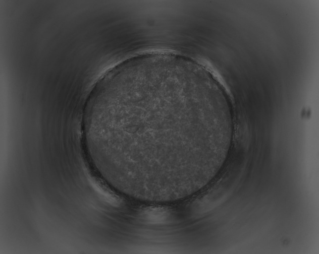 X0000091200063200708301609