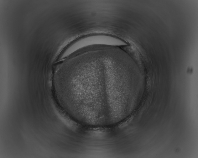 X0000091200064200708301609