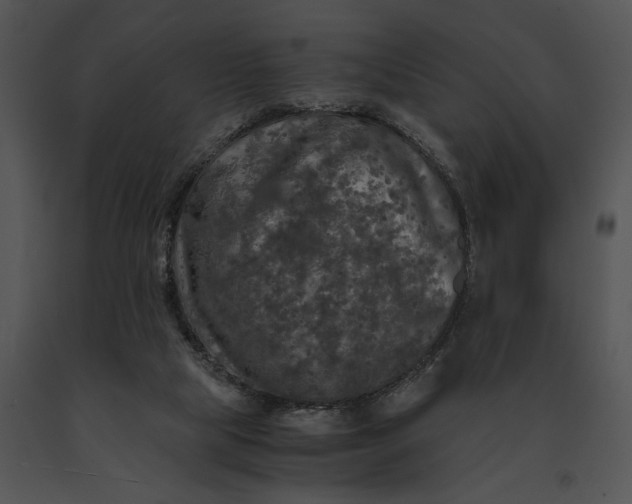X0000091200065200708301609