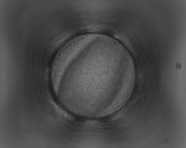 X0000091200066200708301609