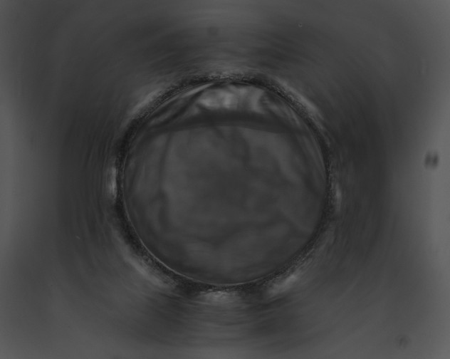 X0000091200067200708301609