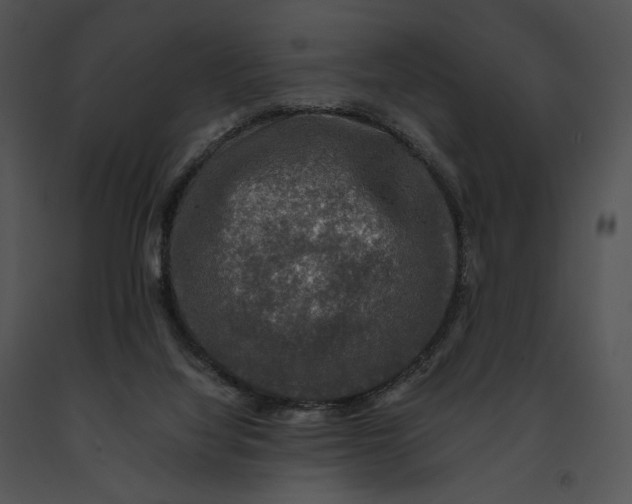 X0000091200068200708301609