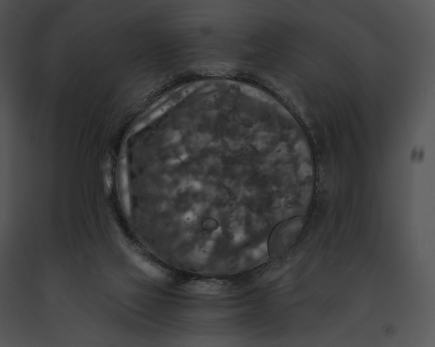 X0000091200069200708301609