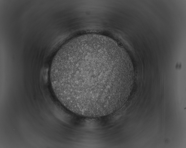 X0000091200070200708301609