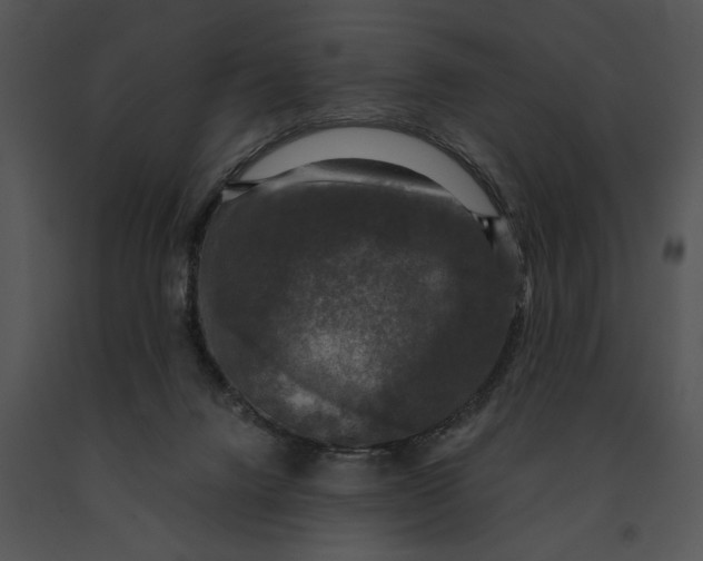 X0000091200072200708301609