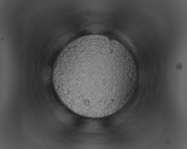 X0000091200073200708301609