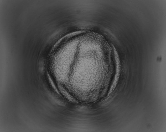 X0000091200074200708301609
