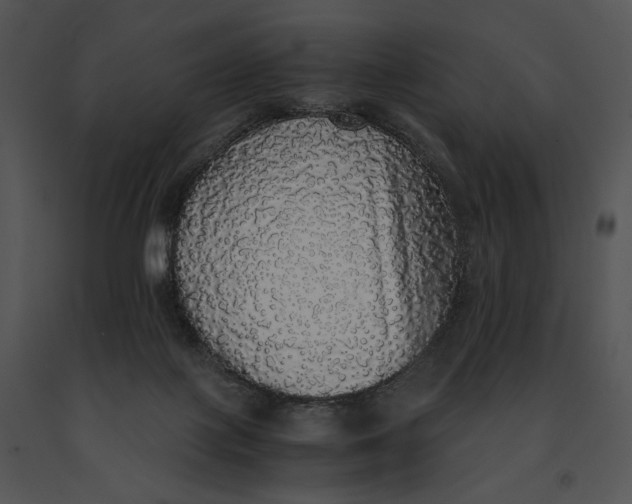 X0000091200075200708301609