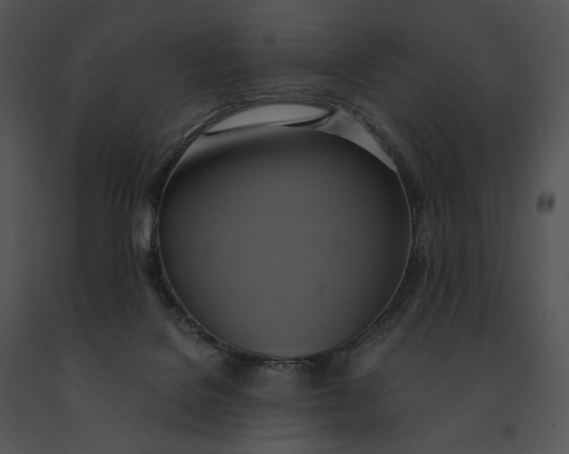 X0000091200076200708301609