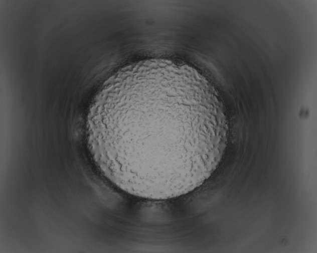 X0000091200077200708301609