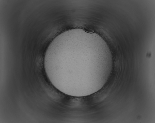 X0000091200079200708301609