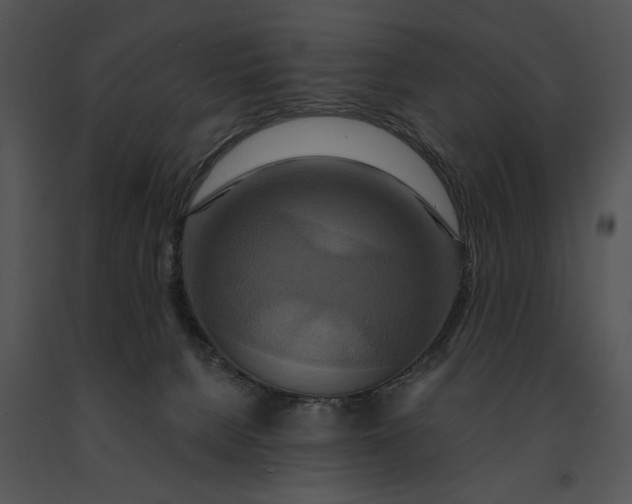X0000091200080200708301609