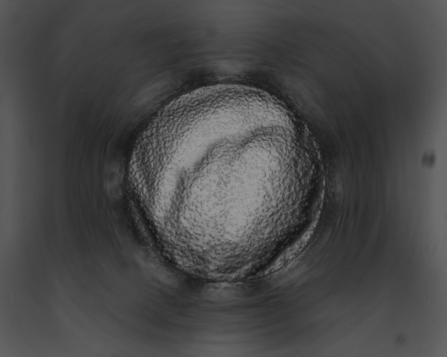 X0000091200082200708301609
