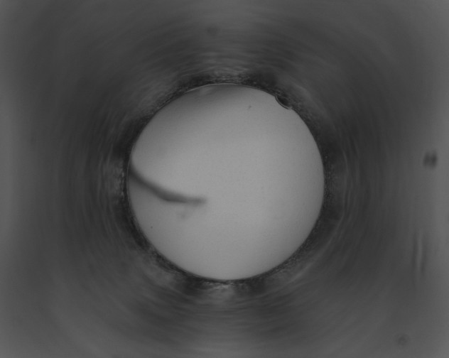 X0000091200083200708301609