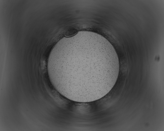 X0000091200087200708301609