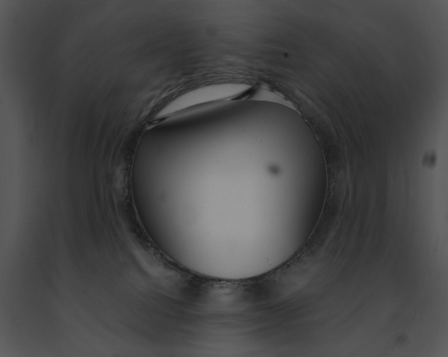 X0000091200088200708301609