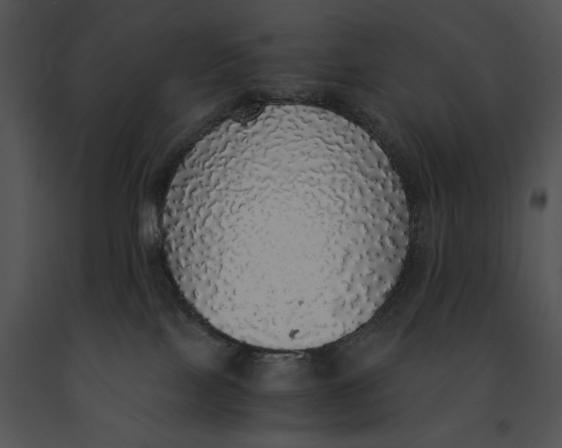 X0000091200089200708301609