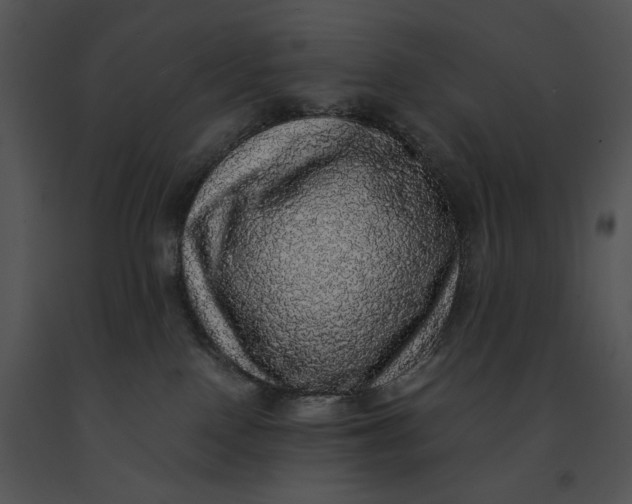 X0000091200090200708301609