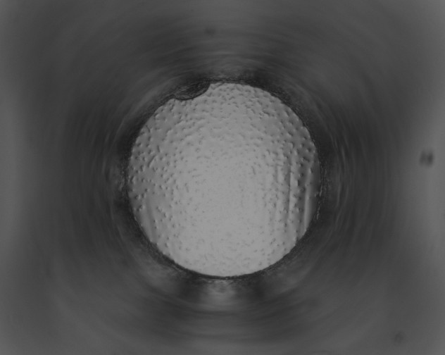 X0000091200091200708301609