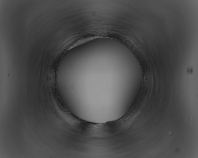 X0000091200092200708301609