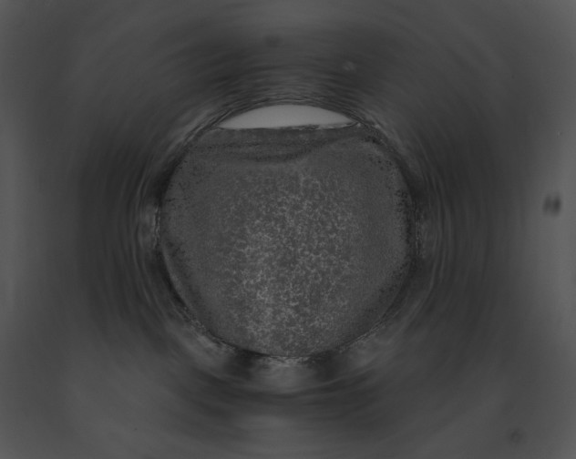 X0000091200093200708301609