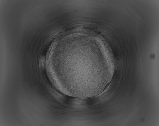 X0000091200094200708301609