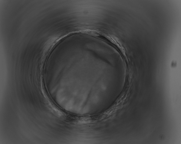 X0000091200097200708301608