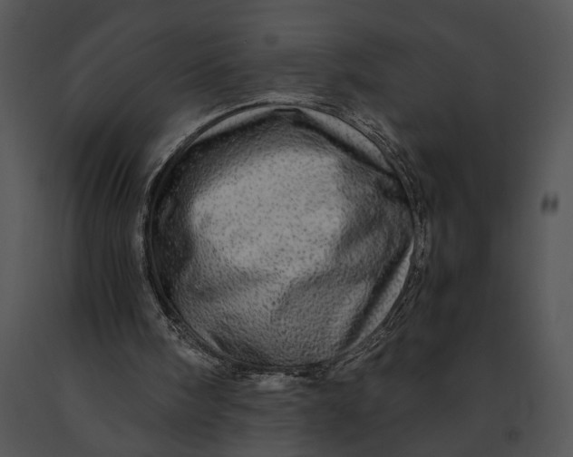 X0000091200098200708301608