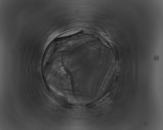 X0000091200099200708301608