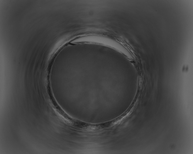 X0000091200101200708301608