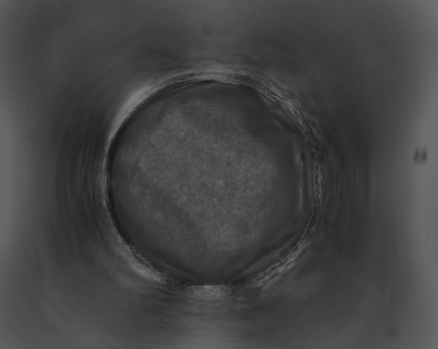 X0000091200102200708301608