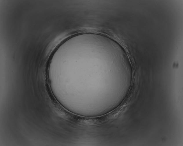 X0000091200103200708301608