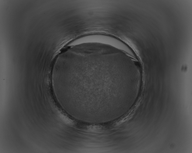 X0000091200105200708301608