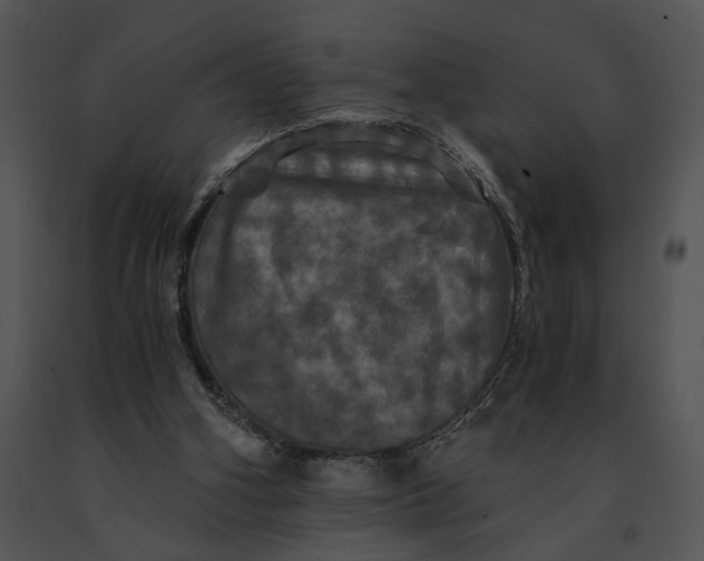 X0000091200106200708301608