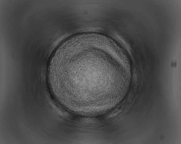 X0000091200107200708301608