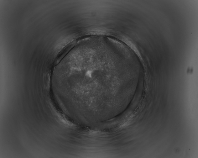 X0000091200109200708301608