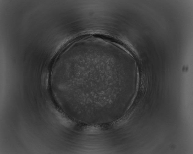 X0000091200110200708301608