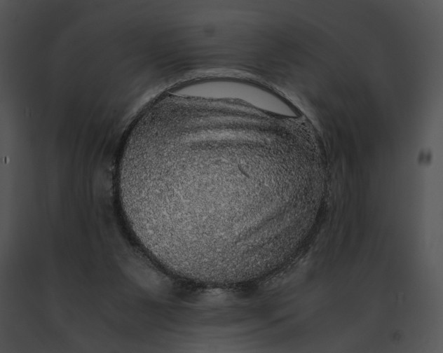 X0000091200111200708301608