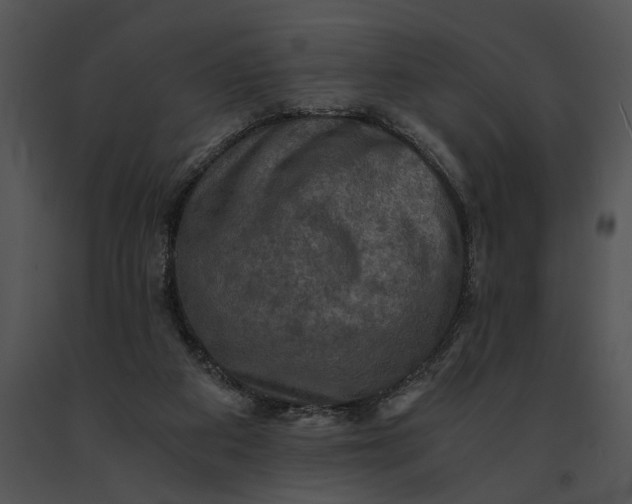 X0000091200113200708301608